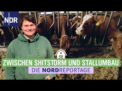 Agnes und ihre Kühe - Spagat zwischen Alltag und Social Media | Die Nordreportage | NDR