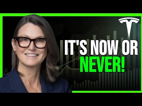 TESLA will Cross $500 by CHRISTMAS: Cathie Wood