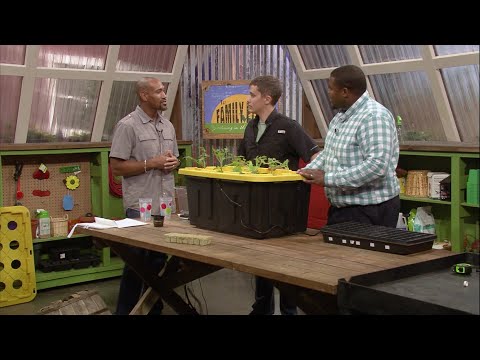 The Family Plot - January 10, 2026