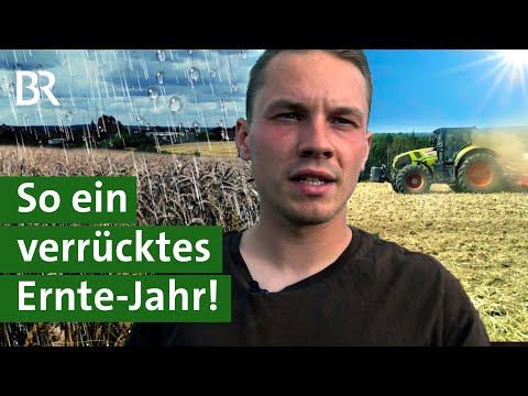 Dürre und Dauerregen: Wie war das Jahr für Kartoffeln und Getreide? | Ernte 2023 | Unser Land | BR