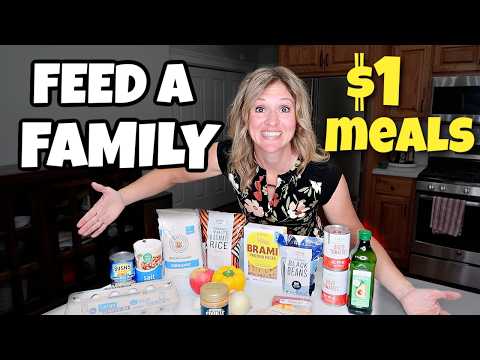 REALISTIC BUDGET $100 for a WEEK of FAMILY MEALS // $1 meals?