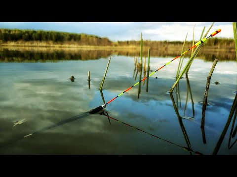 WHO CAN, CAN. FLOAT FISHING IN MAY
