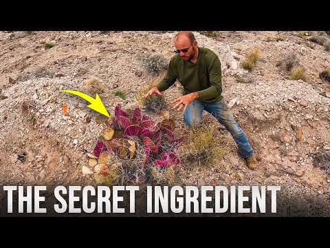 The First Step To A Desert Forest