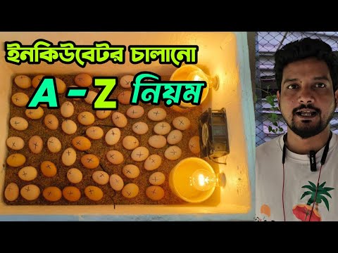 সহজেই ইনকিউবেটর চালানোর সকল নিয়ম