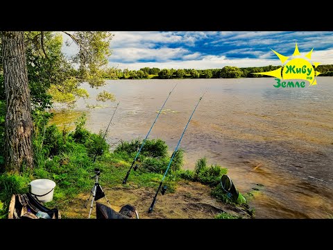 Рыбалка на Донки. Много поклёвок. Отличный день на реке. 2025