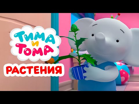Тима и Тома. Ухаживаем за растениями с Тимой и Томой