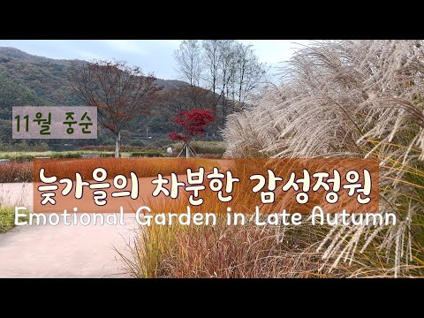 #49, 늦가을 정원 월동준비 / 악어봉, 달숯정원 투어 / 머무르고 싶은 감성정원🍁🍁