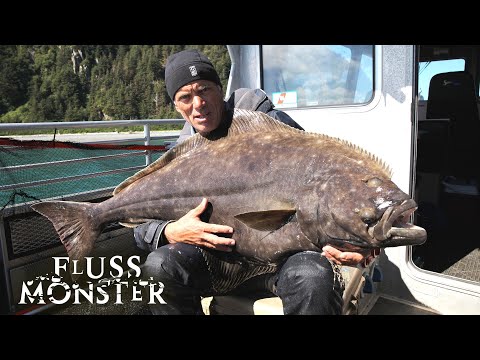 Der Pazifische Heilbutt: Schlangenförmiges Tier | S7 E03 | Fluss Monster