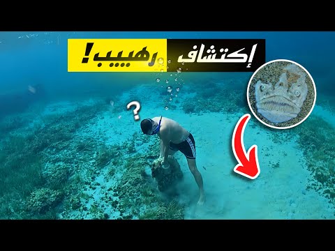 بعد قضاء ليلة كاملة في البحر صادفت أبشع سمكة في العالم 😵