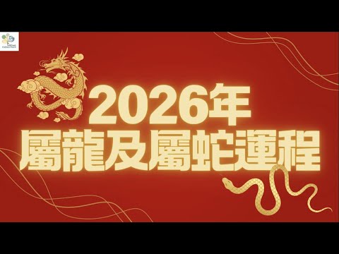 2026年 生肖龍|生肖蛇 流年運程 丙午運勢 #2026流年運程 #2026年 #丙午 #流年運程 #屬龍 #屬蛇 #十二生肖 #十二生肖運勢 #八字 #命理 #風水