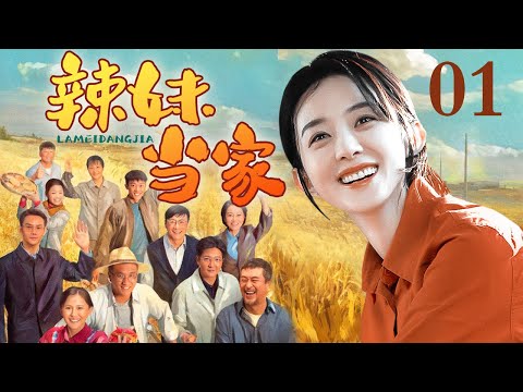 【好看的电视剧】辣妹当家01|泼辣女村官葵花姐上任,整治环境、办厂创业,村子里趣事连连!(#赵丽颖 #苏可 #李梅可 #熊睿玲 )