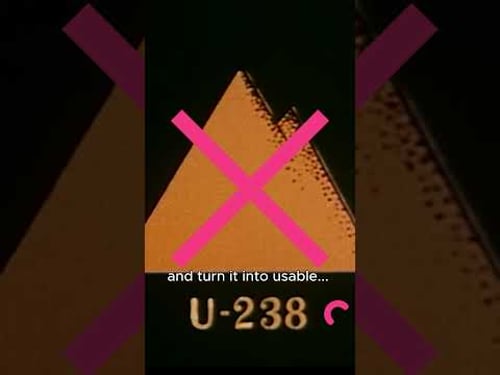 Why these fuel-making nuclear reactors vanished