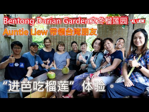 Bentong Durian Garden文冬榴莲园 Auntie Liew 带领台湾朋友深入马来西亚的榴莲园,进行了一场深度的“进芭吃榴莲”体验。