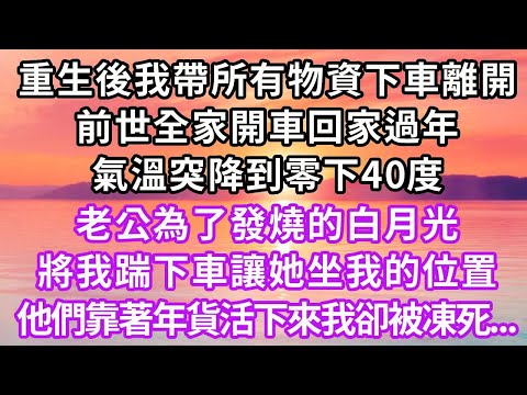 重生後我帶著所有物資下車離開,前世全家開車回家過年,氣溫突降到零下40度,老公為了發燒的白月光,將我踹下車讓她坐我的位置,他們靠著年貨活下來我卻被凍死...#重生 #大女主 #情感 #爽文 #復仇
