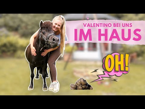 WENN DAS MEINE ELTERN SEHEN WÜRDEN..🤪