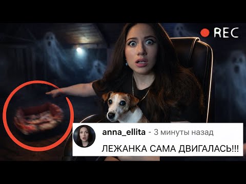 URGENT 😱 GHOST CAME INTO MY VIDEO - Night in the Attic | Elli Di Online