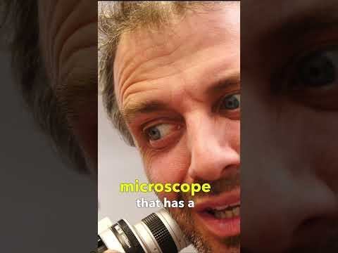 Beard Hair Under Microscope Amazing Close Up!