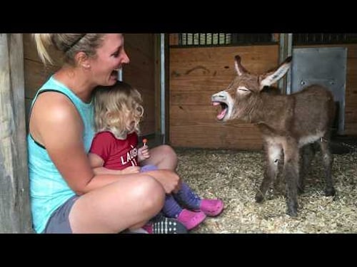 When Your Baby and Farm Animals Become Best Friends in Seconds ❤️
