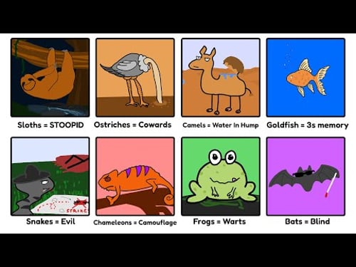 Totally Wrong Facts About Animals Everyone Still Believes