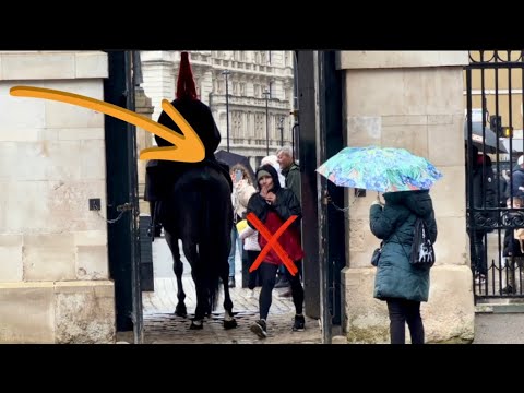 SENTRY BOX! Entrance And Exit Not Allowed WRONG Way🚫 Ma’am!