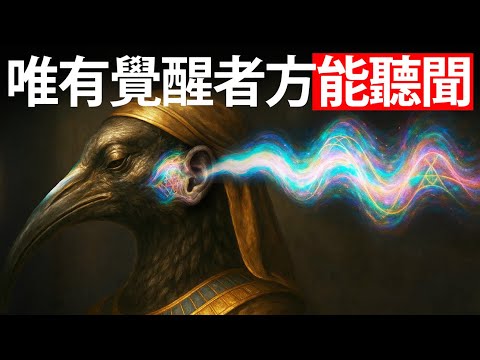 如果你听到了这个,你已经觉醒了——托特确认这一点