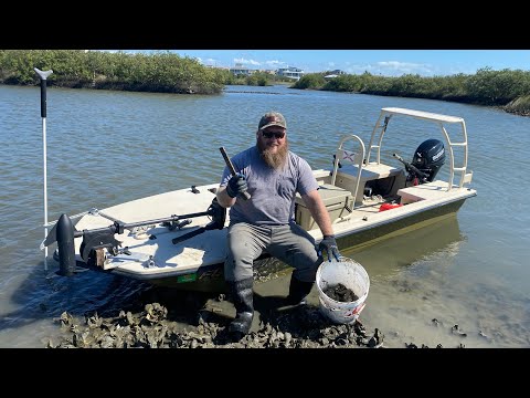 How to Harvest Oysters in Florida! | Catch, Clean, Cook | Chargrilled Oysters