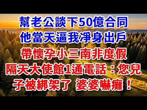 幫老公談下50億合同,他當天逼我凈身出戶,帶懷孕小三南非度假,隔天大使館1通電話:您兒子被綁架了 婆婆嚇癱!#思妤說故事#為人處世#生活經驗#情感故事#晚年哲理#說故事#完結文#原創故事