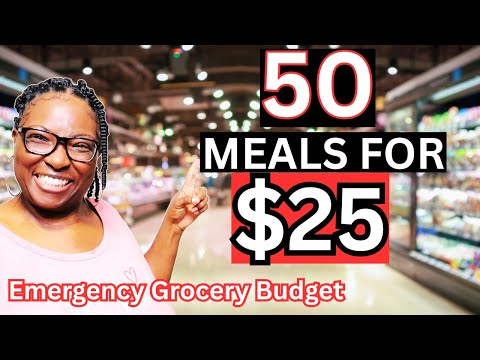 50 Meals for $25 | Budget Cooking Challenge for a Family of 5
