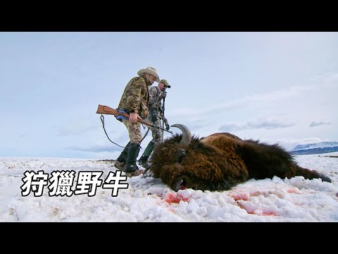 北美荒野山地硬漢:誘捕海狸鞣製皮毛,製作反曲弓狩獵野牛,傳授原始手工技術!紀錄片