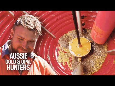 The Victoria Diggers Find Gold-Rich Ground Potentially Worth $4 Million! I Aussie Gold Hunters