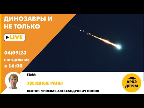Занятие "Звездные раны" кружка "Динозавры и не только" с Ярославом Поповым