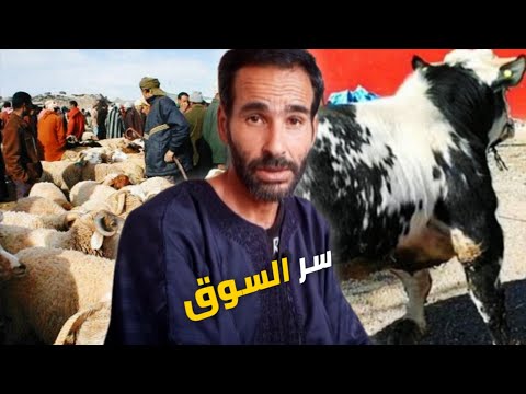 شفت بعيني ناس بداو من والو ولاو أغنياء! وناس كانو أغنياء ولاو كيسعاو السر فجوج حوايج،؟🐂