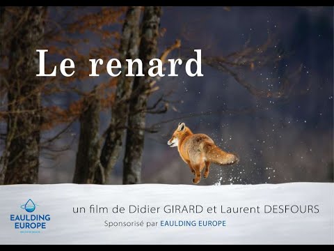 THE FOX - Official 2022 Movie - (linked to the 2024 "The Man and the Fox" film project)