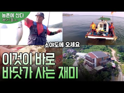 청정 갯벌이 아름다운 섬, 소야도 사람들의 이야기