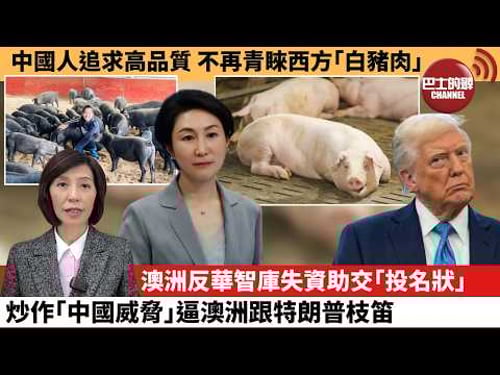 (附字幕) 李彤「外交短評」中國人追求高品質,不再青睞西方「白豬肉」。澳洲反華智庫失資助交「投名狀」,炒作「中國威脅」,逼澳洲跟特朗普枝笛。 26年2月4日