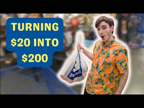 Turning $20 into $200 Thrifting at Goodwill