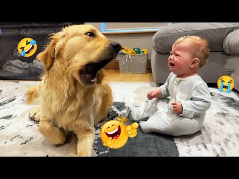 TRY NOT TO LAUGH 😂 Funniest DOG Moments 2025 🐶🤣 | Impossible Challenge #19