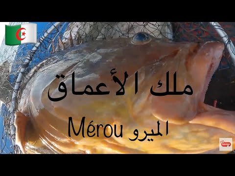 عيش معانا يوم كامل في البحر - جيجل - 02 ديسمبر 2025- sortie de pèche en mer a Jijel Algérie المتعة