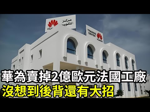 歐盟禁用華為5G設備,華為賣掉2億歐元法國工廠?沒想到後背還有大招!#華為