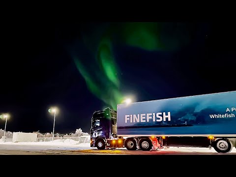 Unloading in the far north of Norway! Polar night and the aurora borealis!