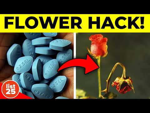 100 Facts Nobody Wants You To Know