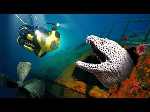 I Dropped a Camera Into a Sunken Ship at the Bottom of the Bali Sea