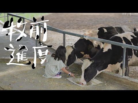 創造三種收入可能!跨界經營下的牧場生存法則《牧前進度 EP3》 Feat.日月山景觀光牧場