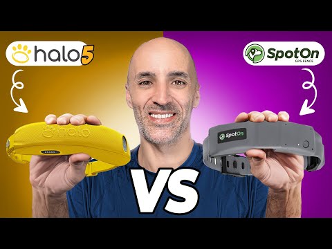 SpotOn vs Halo Collar | Which Actually Works Better?