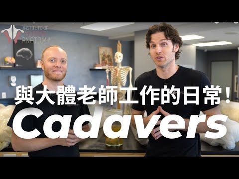 必看!和大體老師一起工作的日常大揭秘!