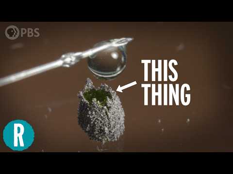 Liquid Marbles are the Coolest Scientific Breakthrough I've Made (So Far)