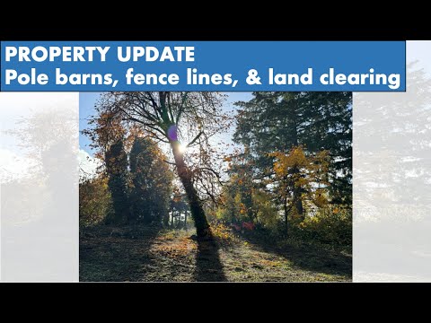 1 Month In | Progress Made