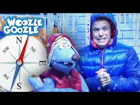 Was ist der Unterschied zwischen Arktis und Antarktis? l WOOZLE GOOZLE