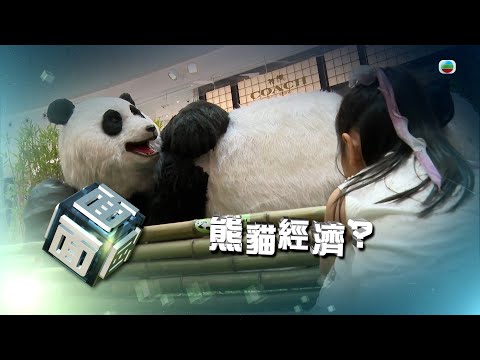 TVB時事多面睇|熊貓經濟?|2024年10月4日|無綫新聞 |TVB News