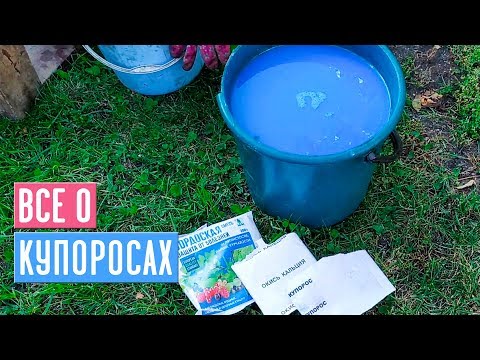 Everything You Need to Know About Vitriol in One Video / Garden Guide